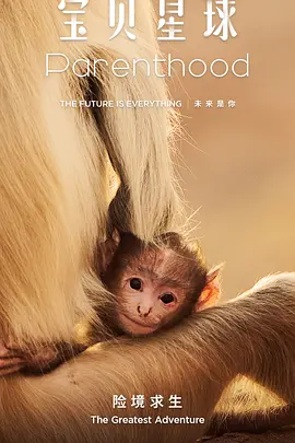 《宝贝星球》 (2025) 【纪录片】 4K 高码  [单集5G+] 普通话+内嵌简中 - 探索动物界的育儿之道