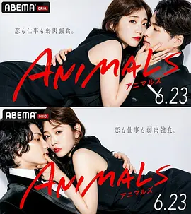 《动物 ANIMALS》(2022) 【爱情/日本】 全8集1080P 10.2G - 铃木爱理职场逆袭，邂逅霸道总裁与狂妄摄影师