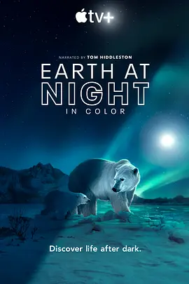 《夜色中的地球 1-2季 Earth at Night in Color》 (2020-2021) 【纪录片/自然/美国】 全1-2季 1080P 12.1G | 颠覆你对夜晚的认知 | 首部全彩夜间自然纪录片