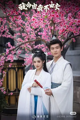 《我命由我不由夫》75集全 【女频穿书/古装/逆袭】0.8G 全集完结 | 白方文&石雪婧主演 | 古代女子逆天改命