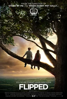 [怦然心动][国英双语.中英字幕][4.55GB][MKV]（豆瓣top29）