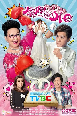 《灿烂的外母》 (2017) 【剧情/喜剧/家庭】 全20集 国语 12.2G - 薛家燕&黎诺懿，港式家庭喜剧的温馨碰撞