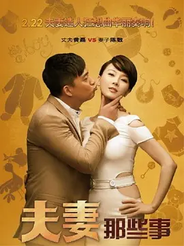 《夫妻那些事》(2012) 【剧情/爱情/家庭/大陆】 全34集4K国语中字 36G - 黄磊陈数演绎丁克夫妻的生育抉择
