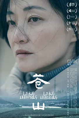 《苍山》 (2023) 【剧情/中国大陆】 1080P 国语中字 [1.4G] | 逃离与回归，三代人的故乡寻觅