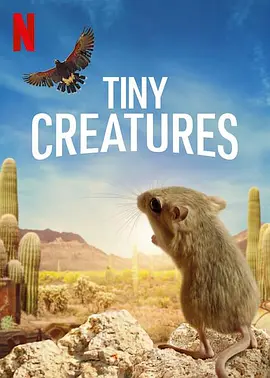 《微观世界 Tiny Creatures》 (2020) 【纪录片/美国】 全1季 1080P 2.62G 小动物的未知世界 | 震撼视角探索微小生命的奇迹
