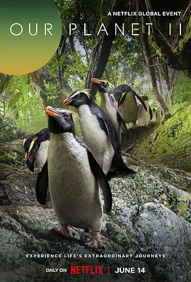 《我们的星球》1-2季 Our Planet (2019-2023) 【纪录片/自然/英国】全1-2季 4K HDR 18.5G 震撼视觉的自然史诗 | 大卫·爱登堡旁述