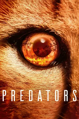 《食肉动物 Predators》 (2022) 【纪录片/自然/美国】全5集 1080P 7.86G 汤姆·哈迪倾情解说 | 顶级掠食者的生存之战