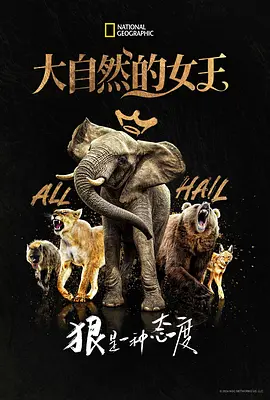 《大自然的女王》 (2024) 【纪录片/自然/美国】 全7集 1080P 7.79G 安吉拉·贝塞特倾情献声 | 女性视角下的野性王国